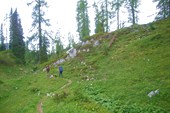 Totes Gebirge Juni 2007032